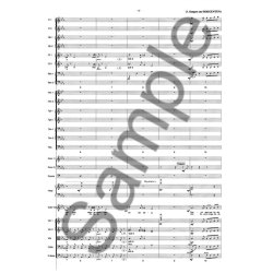 Det Store Orkester Part., Kopi