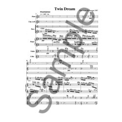 Twin Dream Partitur, Kopi