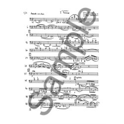 Carl Nielsen: Fantasisykker Op.2 (Parts)