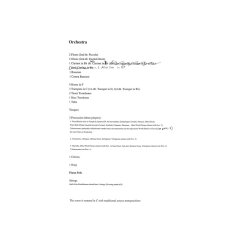 Per Nrgrd: Piano Concerto - Concerto In Due Tempi