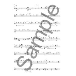 Poul Ruders: Concerto For Viola And Orchestra (Viola Solo)