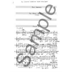 Bent Srensen: The Wings Of Night