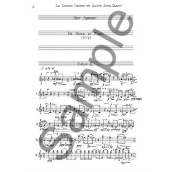 Bent Srensen: The Wings Of Night