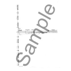 Asbjrn Schaathun: Musical Grafitti Nr. 2