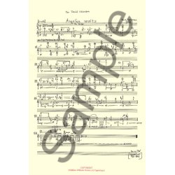 Bent Srensen: Angelus Waltz