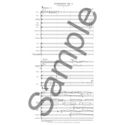 Per Nrgrd: Symphony No. 6 (Score)