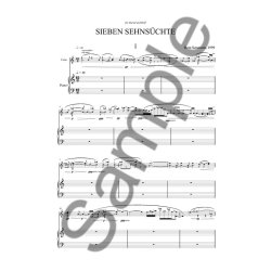 Bent Srensen: Sieben Sehnsuchte