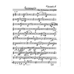 Holmgreen Passacaglia Set Parts