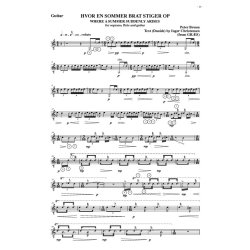 Peter Bruun: Where A Summer Suddenly Arises (Score and parts)