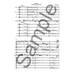 Concerto For Double Bass & Or.