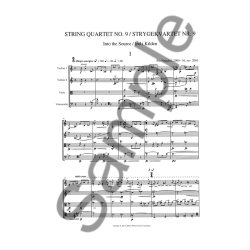 Per Nrgrd: String Quartet No.9 - Into The Source (score)