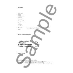 Concerto For Violin And Accordion