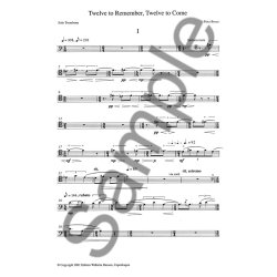 Peter Bruun: Twelve To Remember, Twelve To Come (Solo Part)