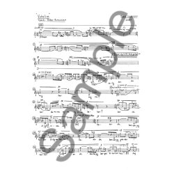 Bent S&oslash;rensen: Vokalise