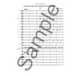Concerto For Percussion