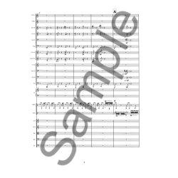 Concerto For Percussion