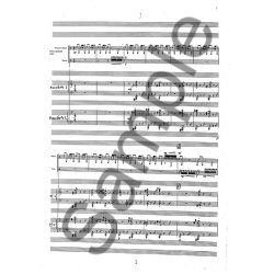 CONCERTO FOR PERCUSSION AND ORCHESTRA