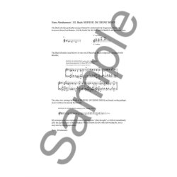 Hans Amrahamsen: J.S. Bach: Befiehl Du Deine Wege