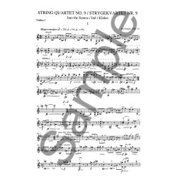 Per Nrgrd: String Quartet No.9 - Into The Source (parts)