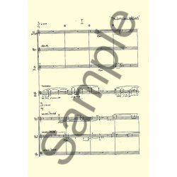 Bent Srensen: The Lady And The Lark (Score)