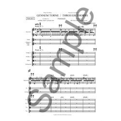 Per Nrgrd: Gennem Torne (Through Thorns)