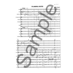 Koppel Flaminia Suite Orch Sc
