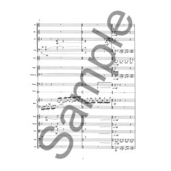 VIVA! MOZART SUITE 6