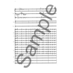 Pelle Gudmundsen-Holmgreen: For Violin And Orchestra