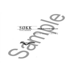 Henrik Hellstenius: Sokk - A Piece for Accordion and Tape