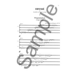 Pelle Gudmundsen-Holmgreen: Blaes Pa Odysseus