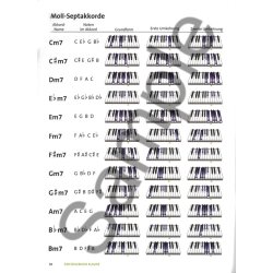 Einsteigerkurs Klavier Pf Bk/Cd/Dvd