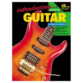 Intro Gtr Supp Songbook B Gtr Bk/Cd