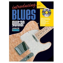 Introducing Blues Gtr Bk/Cd