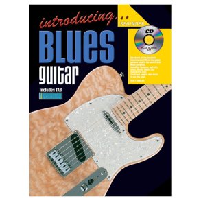 Introducing Blues Gtr Bk/Cd
