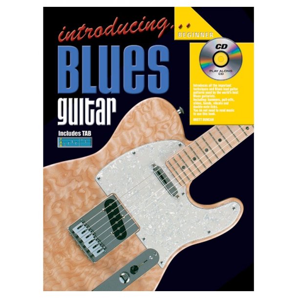 Introducing Blues Gtr Bk/Cd