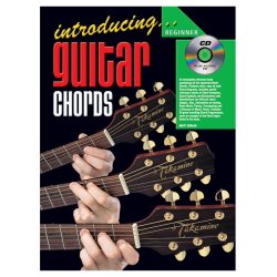 Introducing Gtr Chords Gtr Bk/Cd