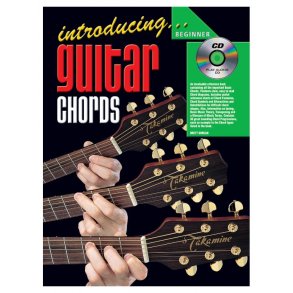 Introducing Gtr Chords Gtr Bk/Cd