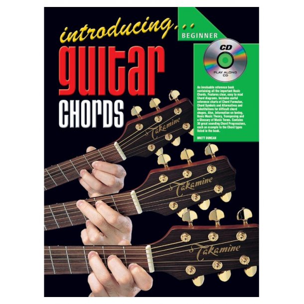 Introducing Gtr Chords Gtr Bk/Cd