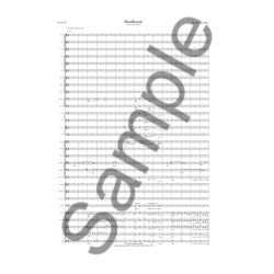 David Lumsdaine: Shoalhaven for Larger Orchestra