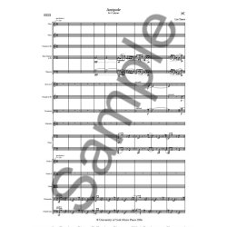 Lus Tinoco: Antipode (For Ensemble)