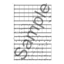 Lus Tinoco: Antipode (For Ensemble)