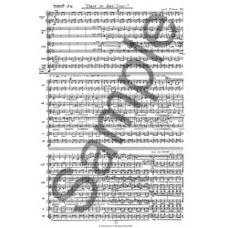 Lus Tinoco: Chant for East Timor