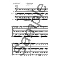 Lus Tinoco: Autumn Wind