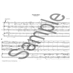 Lus Tinoco: Forgotten Places