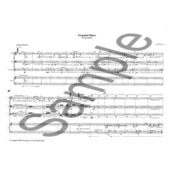 Lus Tinoco: Forgotten Places