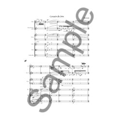 Hilda Paredes: Corazn de Onix (Score)