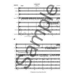 Lus Tinoco: Labyrinth