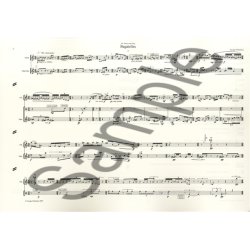 George Nicholson: Bagatelles