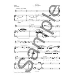 David Blake: A Swallow