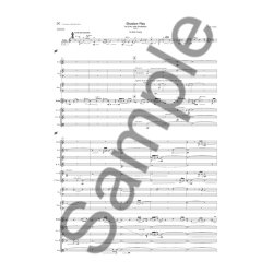 Luis Tinoco: Shadow Play